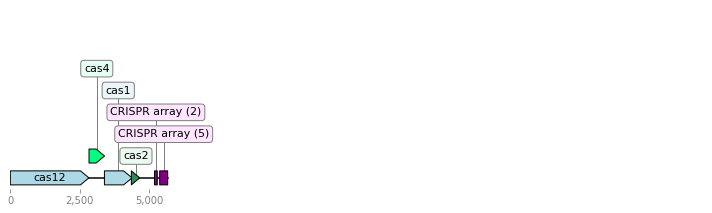 _images/operon_image_4.png