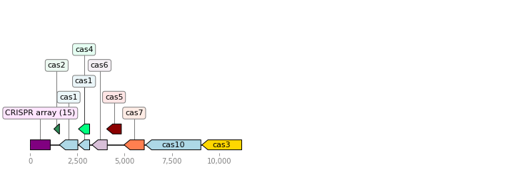 _images/operon_image_1.png