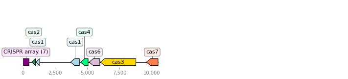 _images/operon_image_2.png