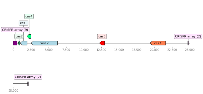 _images/operon_image_5.png